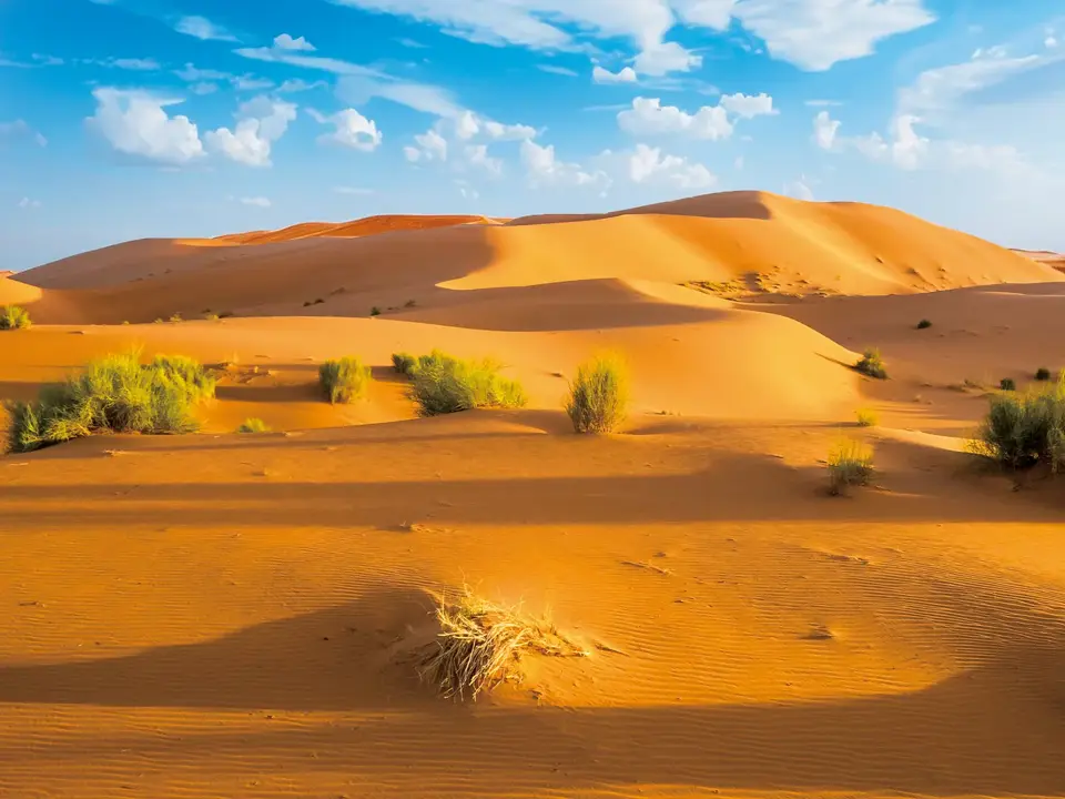 الصحراء